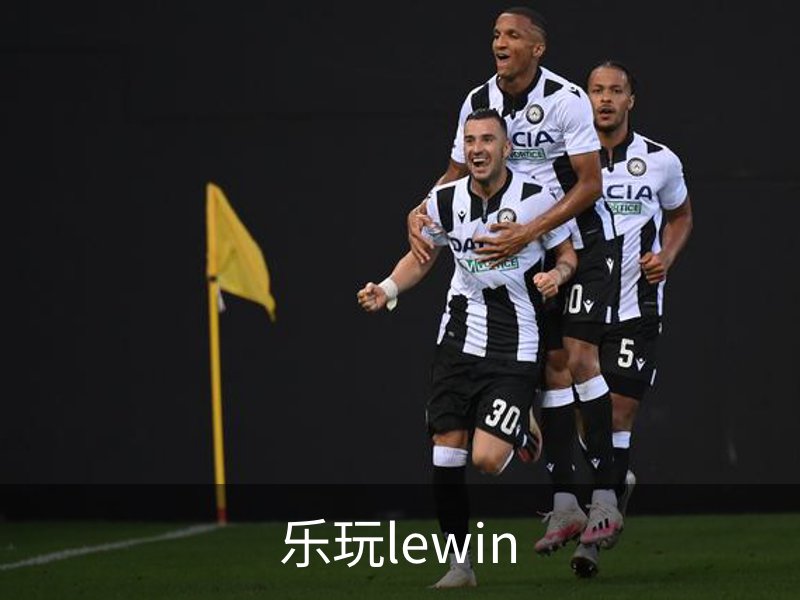 乐玩lewin概况